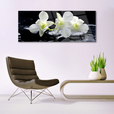 Glas schilderij Witte orchidee bloem