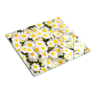 Snijplanken glas Madeliefjes op een witte achtergrond