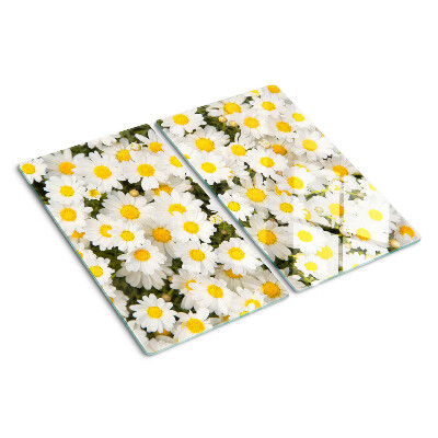 Snijplanken glas Madeliefjes op een witte achtergrond