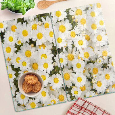 Snijplanken glas Madeliefjes op een witte achtergrond