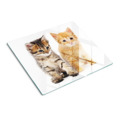 Snijplanken glas Katten op een witte achtergrond