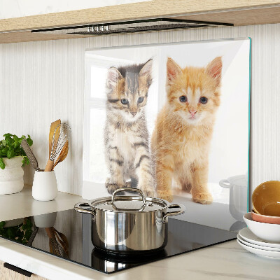 Snijplanken glas Katten op een witte achtergrond