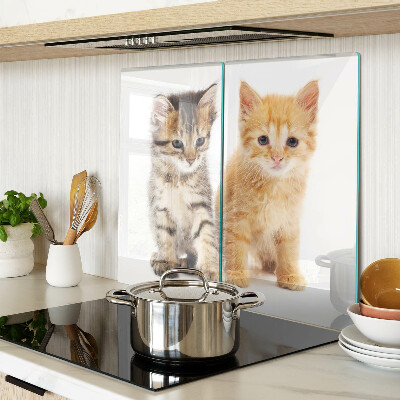 Snijplanken glas Katten op een witte achtergrond