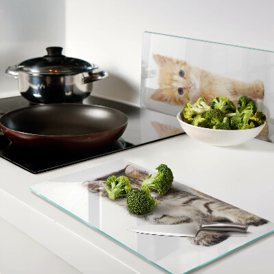 Snijplanken glas Katten op een witte achtergrond