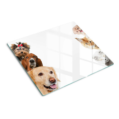 Glazen snijplanken Honden en katten in verschillende poses