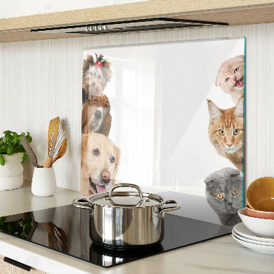 Glazen snijplanken Honden en katten in verschillende poses