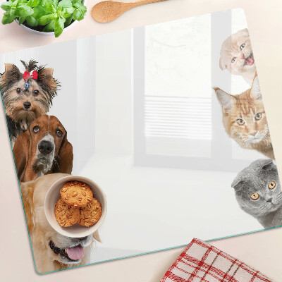 Glazen snijplanken Honden en katten in verschillende poses