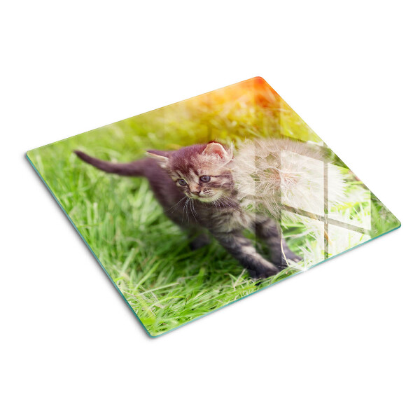 Glazen snijplanken Kat op het gras