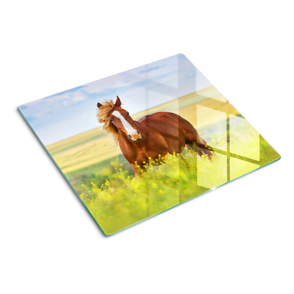 Snijplanken glas Paard in de wei