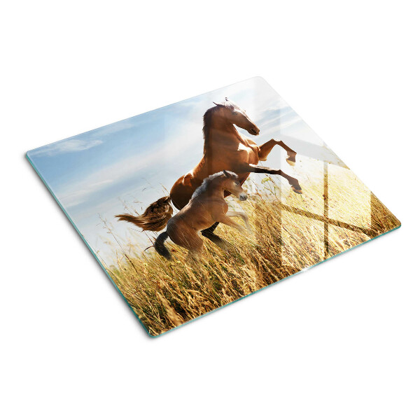 Snijplanken glas Paarden in een weide in de zon