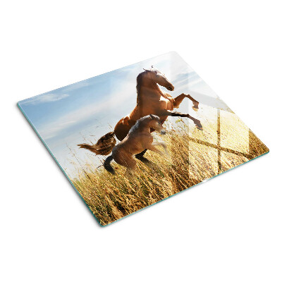 Snijplanken glas Paarden in een weide in de zon