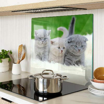 Snijplanken glas Kittens op een groene achtergrond