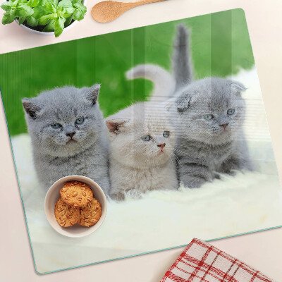 Snijplanken glas Kittens op een groene achtergrond