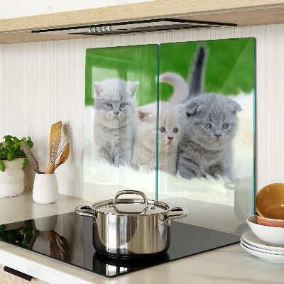 Snijplanken glas Kittens op een groene achtergrond