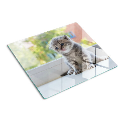 Snijplanken glas Kitten op de vensterbank