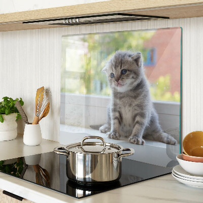 Snijplanken glas Kitten op de vensterbank