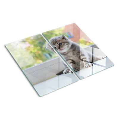 Snijplanken glas Kitten op de vensterbank