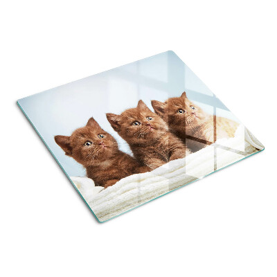 Snijplanken glas Drie bruine katten