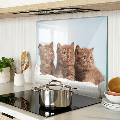 Snijplanken glas Drie bruine katten