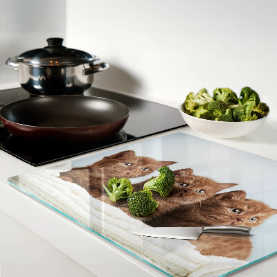 Snijplanken glas Drie bruine katten