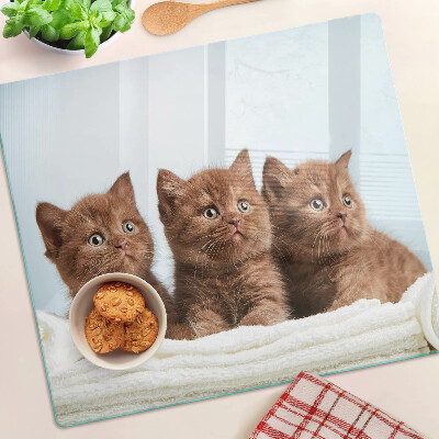 Snijplanken glas Drie bruine katten