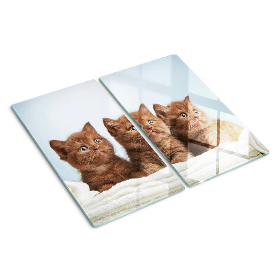 Snijplanken glas Drie bruine katten