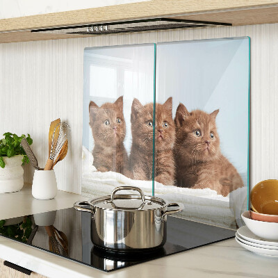 Snijplanken glas Drie bruine katten