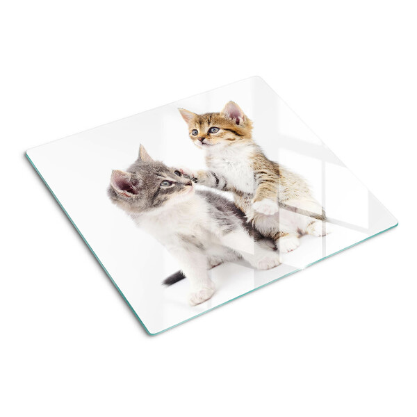 Glazen snijplanken Katten op een witte achtergrond