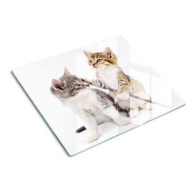 Glazen snijplanken Katten op een witte achtergrond