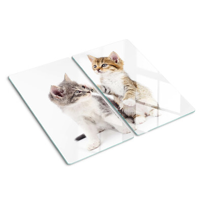 Glazen snijplanken Katten op een witte achtergrond