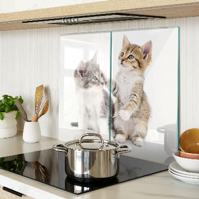Glazen snijplanken Katten op een witte achtergrond