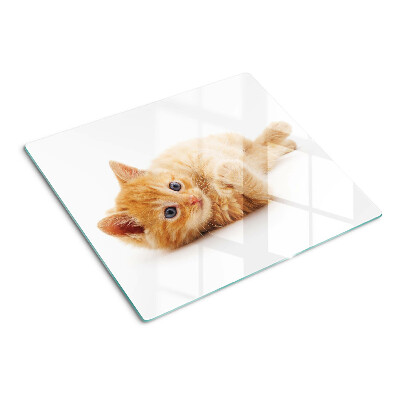 Snijplanken glas Gemberkatje op een witte achtergrond