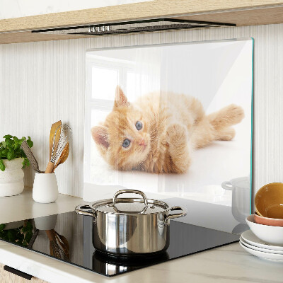 Snijplanken glas Gemberkatje op een witte achtergrond