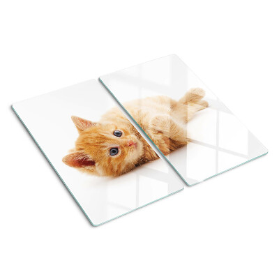 Snijplanken glas Gemberkatje op een witte achtergrond