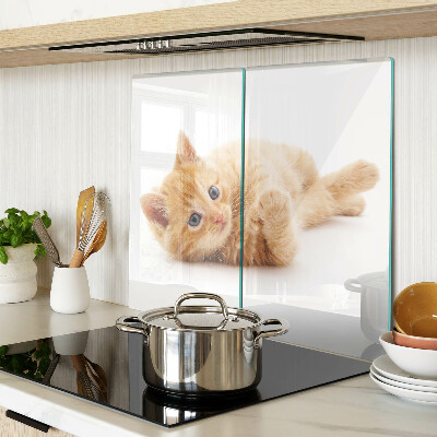 Snijplanken glas Gemberkatje op een witte achtergrond