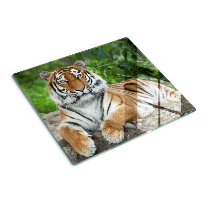 Glazen snijplanken Tijger in zijn natuurlijke habitat