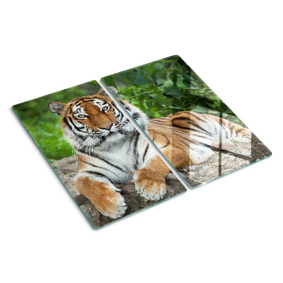 Glazen snijplanken Tijger in zijn natuurlijke habitat