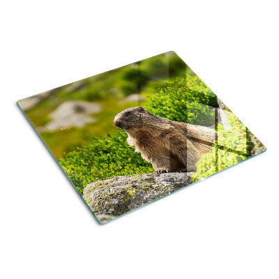 Glazen snijplanken Marmot op een achtergrond van groen gras