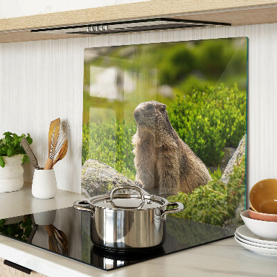 Glazen snijplanken Marmot op een achtergrond van groen gras