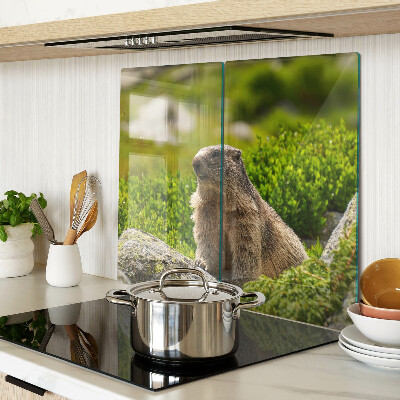 Glazen snijplanken Marmot op een achtergrond van groen gras
