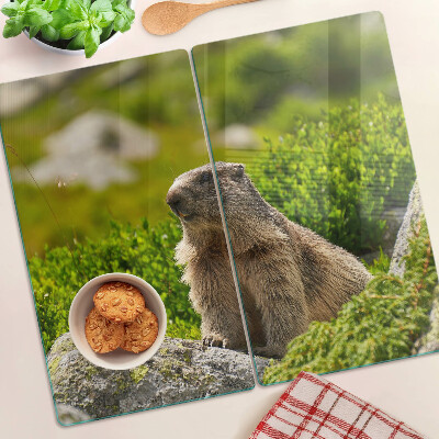 Glazen snijplanken Marmot op een achtergrond van groen gras