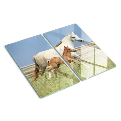 Snijplanken glas Een paard met een veulen in een weide
