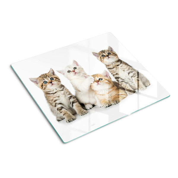Snijplanken glas Een kudde kittens