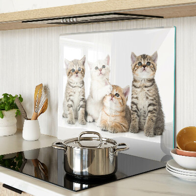 Snijplanken glas Een kudde kittens