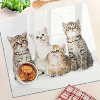 Snijplanken glas Een kudde kittens