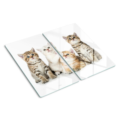 Snijplanken glas Een kudde kittens