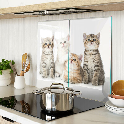 Snijplanken glas Een kudde kittens