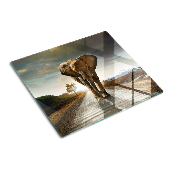 Snijplanken glas Olifant op de weg bij zonsondergang