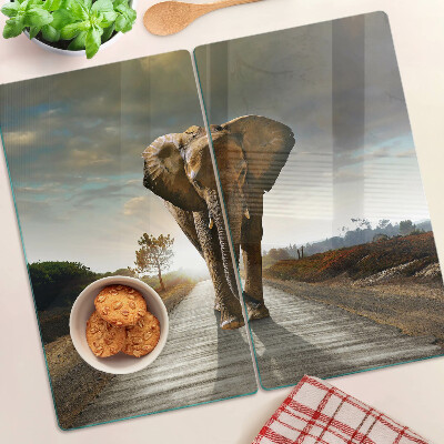 Snijplanken glas Olifant op de weg bij zonsondergang