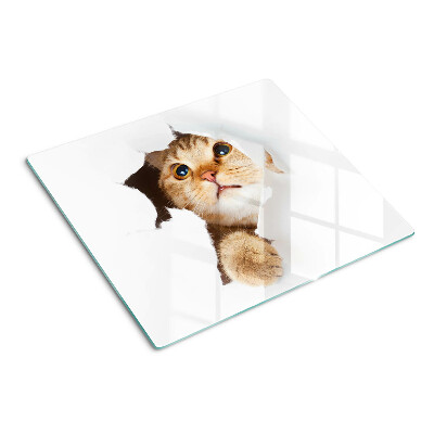 Snijplanken glas Een kat kijkt door een gat in de muur